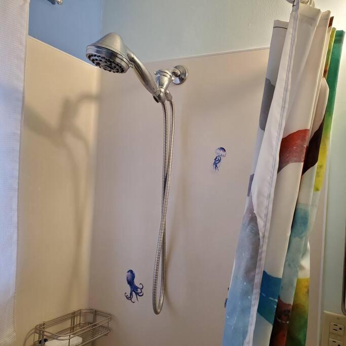 Sweet 2 Bedroom Close To U Of Oregon & Track! يوجين، أوريغون المظهر الخارجي الصورة