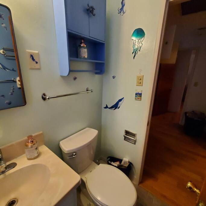 Sweet 2 Bedroom Close To U Of Oregon & Track! يوجين، أوريغون المظهر الخارجي الصورة